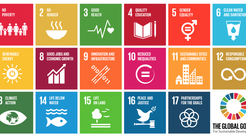 Sustainable Development Goals – Post 2015 Development Agenda Sustainable Development Goals – Post 2015 Development Agenda
