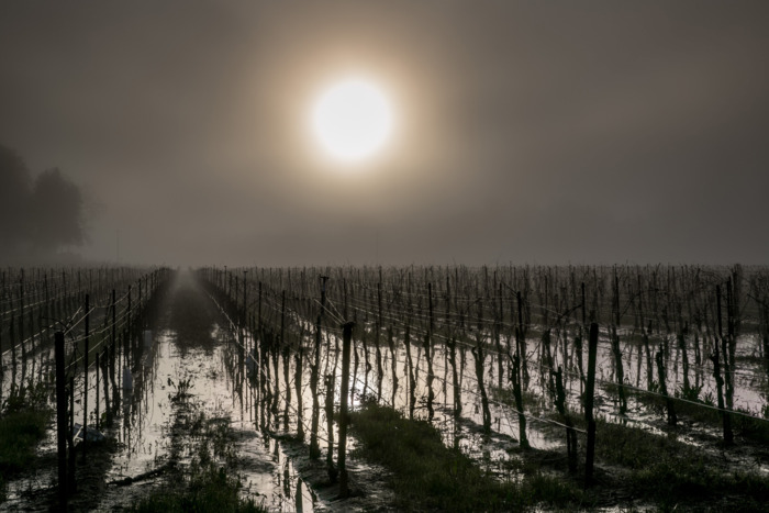 UN Says Climate Genocide Is Coming. It’s Actually Worse Than That. UN Says Climate Genocide Is Coming. It’s Actually Worse Than That.